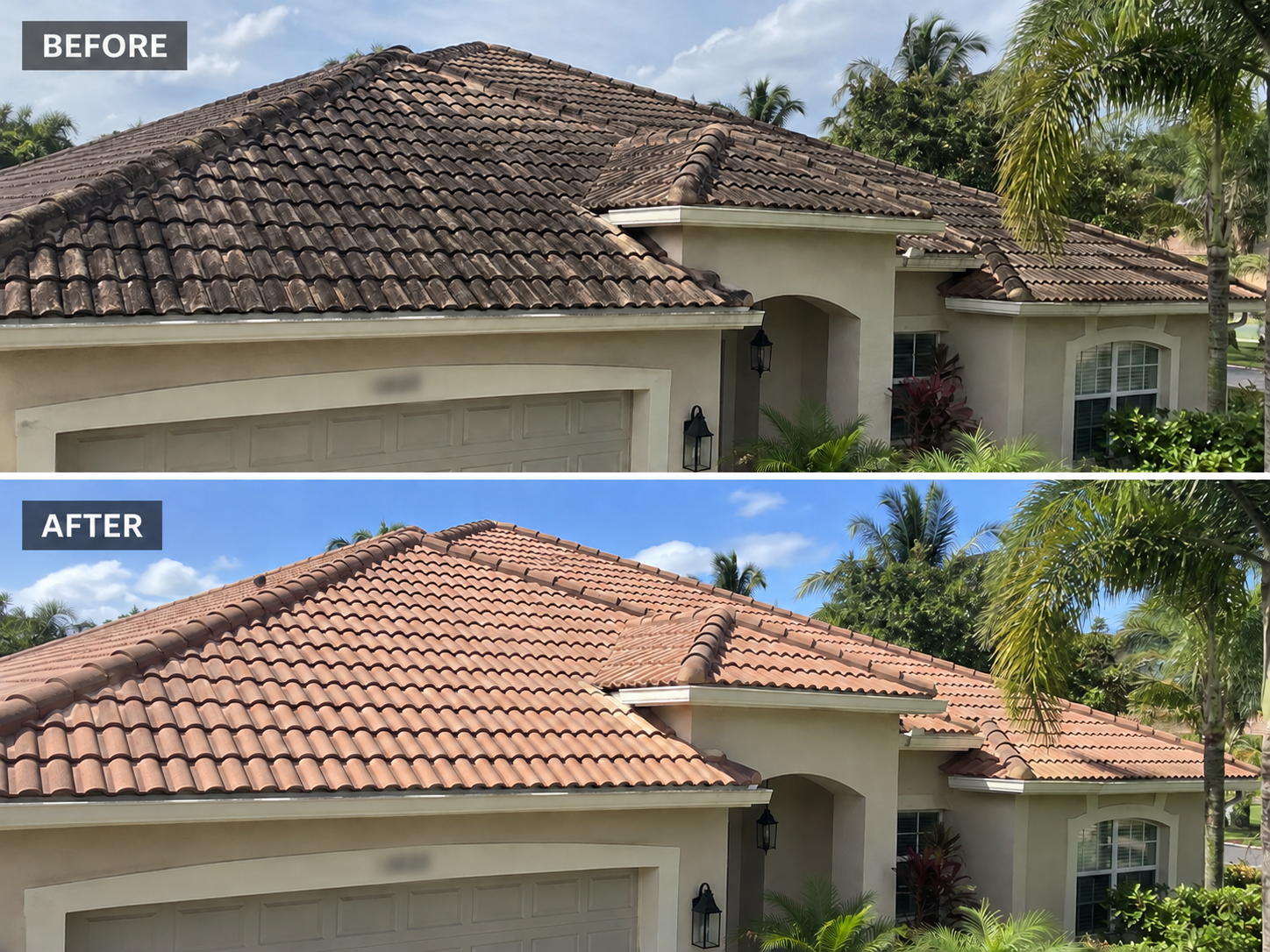 Roof cleaning before and after
